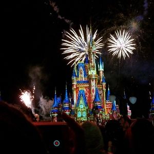 Meet your Posher, Bailey